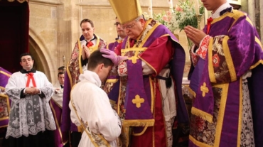 ibp-ordinations-2018-3